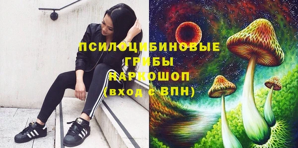 apvp Балабаново