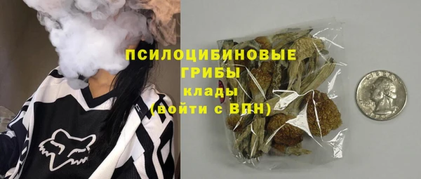 индика Балахна