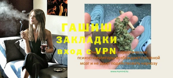 индика Балахна
